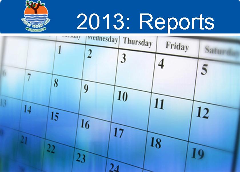 2013: Reports