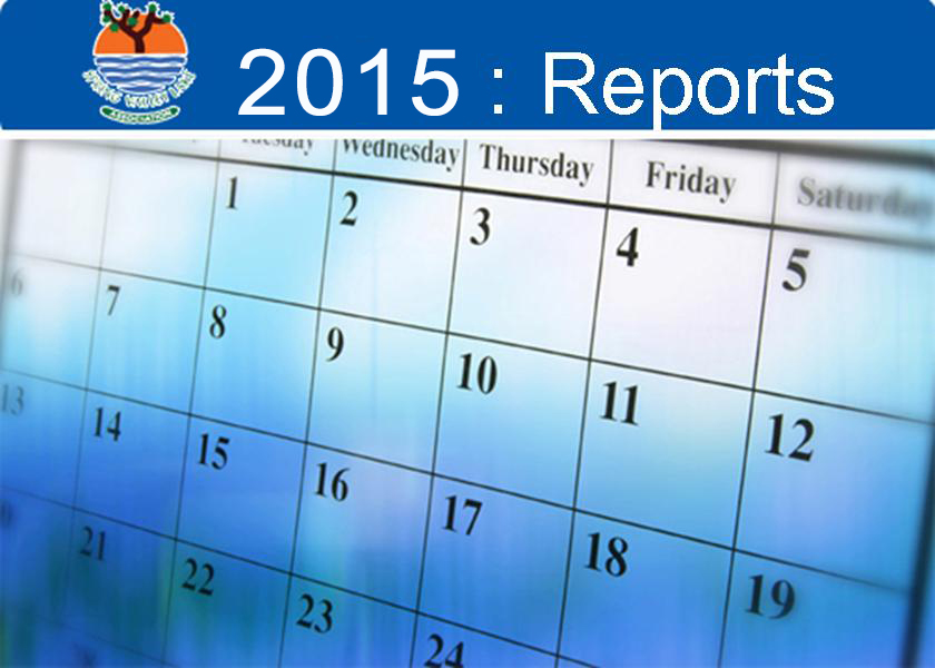 2015: Reports