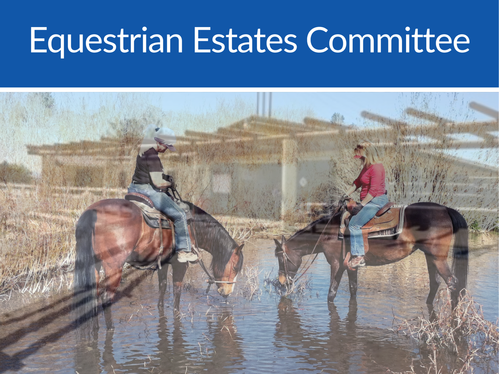Equestrian Estates Committee