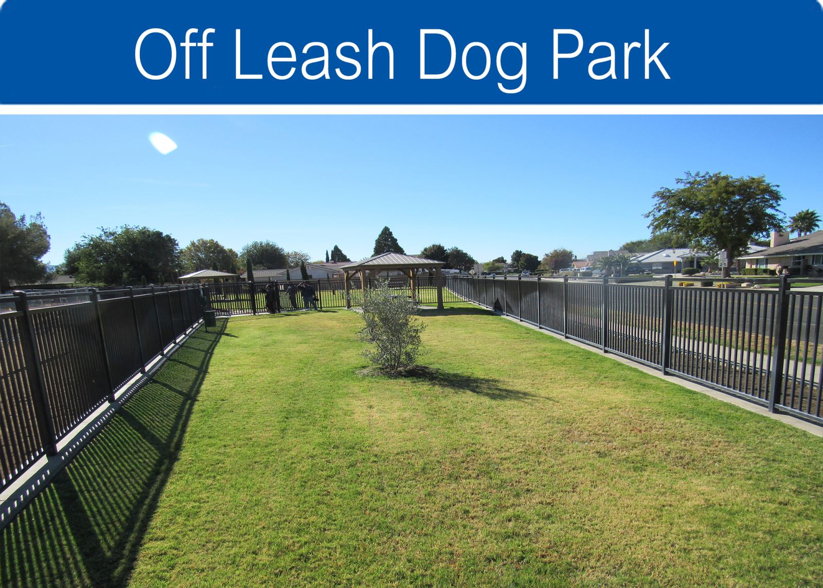 off leash dog park thumbnail
