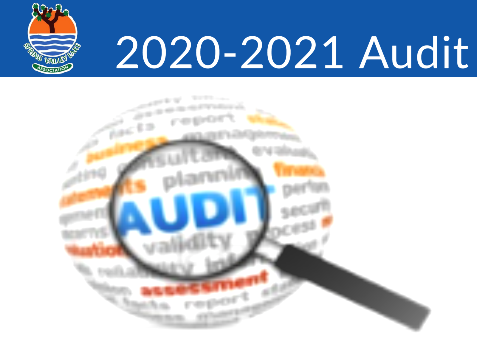 2020-2021 Audit