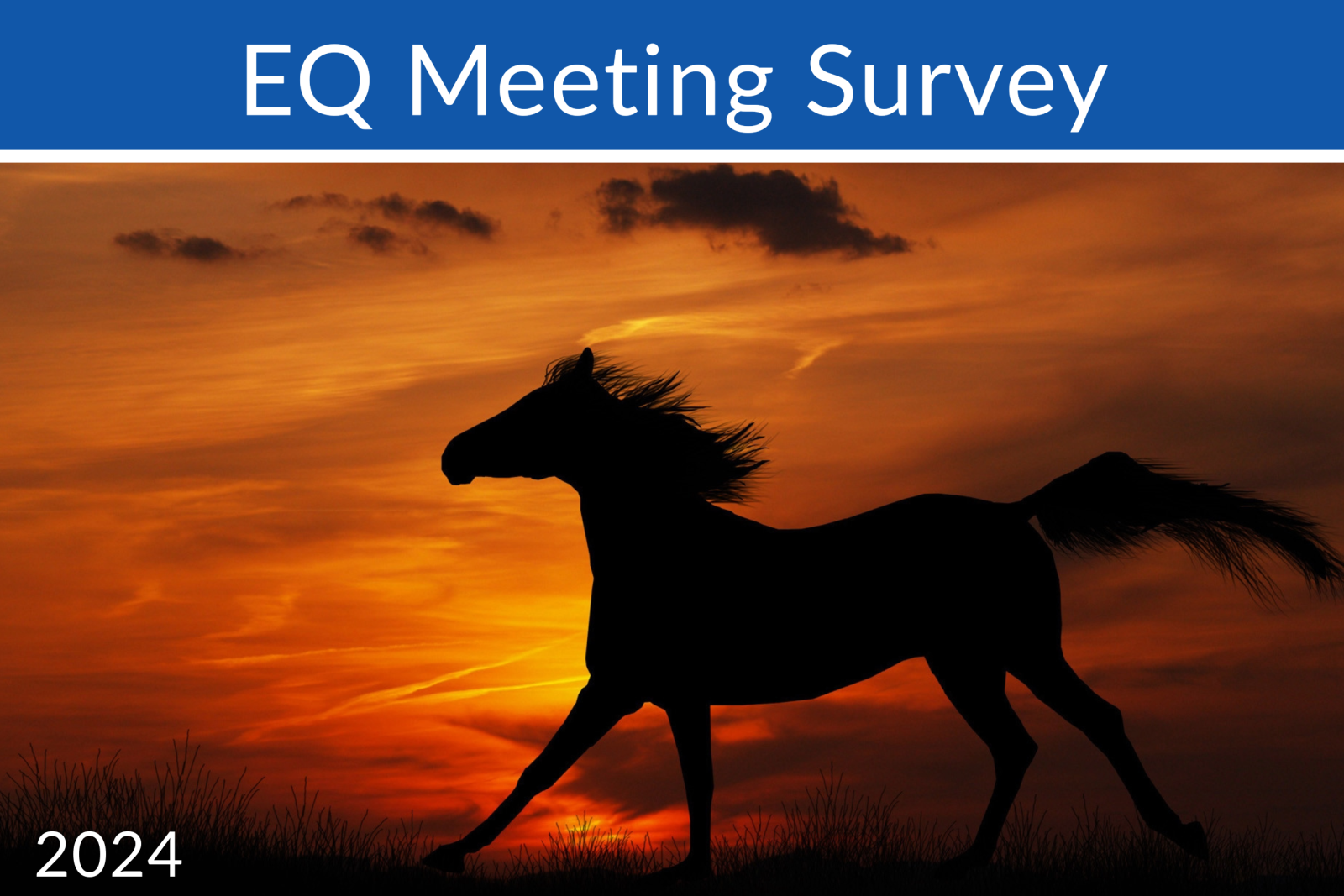 EQ Meeting Survey