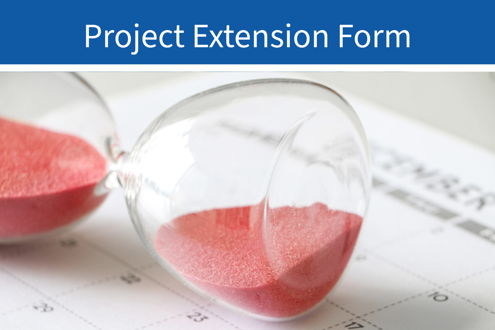 Project Extension Form