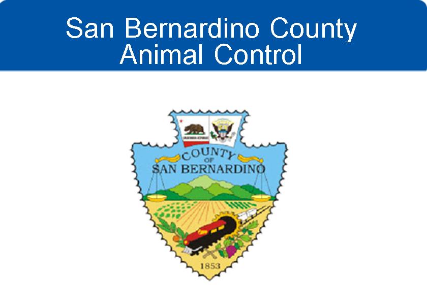 San Bernardino County Animal Control