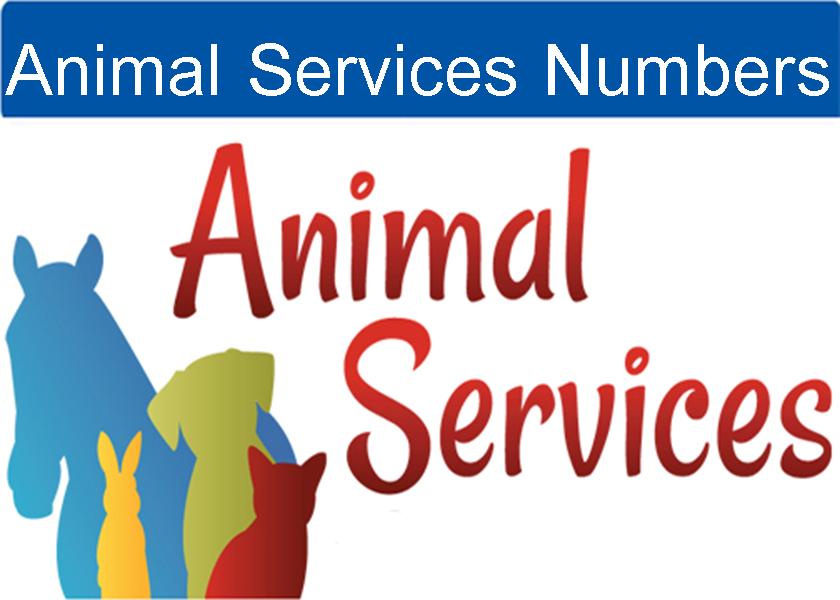 Animal Service Numbers