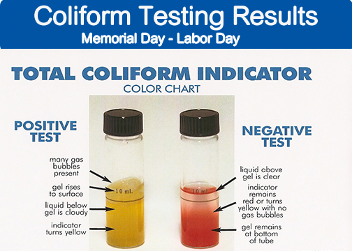 Coliform Testing Results